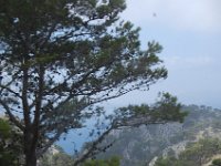 Mallorca 250